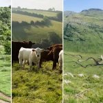 Tren Keberlanjutan Terbesar dalam Perjalanan 2026: Apa yang Harus Kamu Tahu!