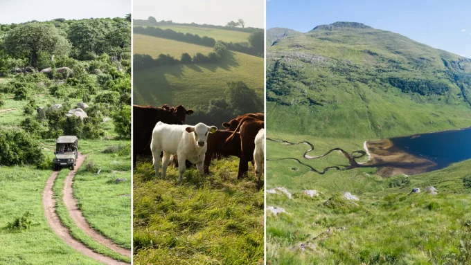 Tren Keberlanjutan Terbesar dalam Perjalanan 2026: Apa yang Harus Kamu Tahu!