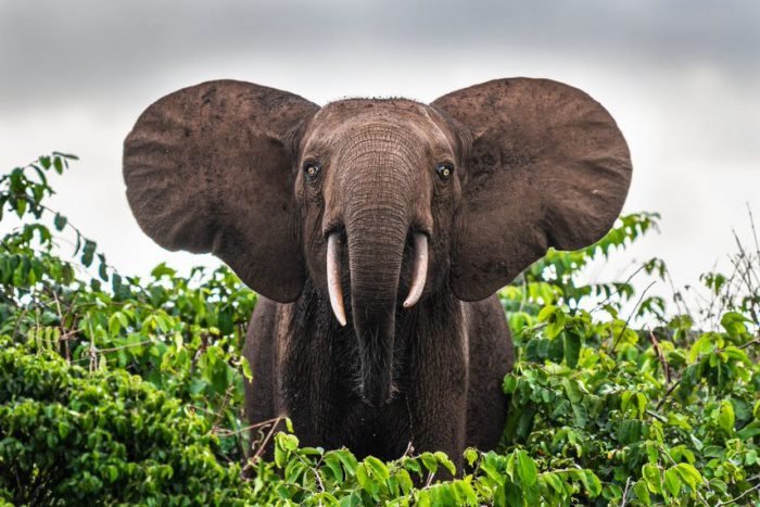 Hariom Travels & Tourism LLC - Mengguncang Dunia Pariwisata Afrika dengan Kisah Baru yang Segar!