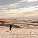 Menelusuri Keajaiban Blackfoot Country: Menggali Perspektif Baru dari Bangsa Indigenus Tentang Perbatasan AS-Kanada
