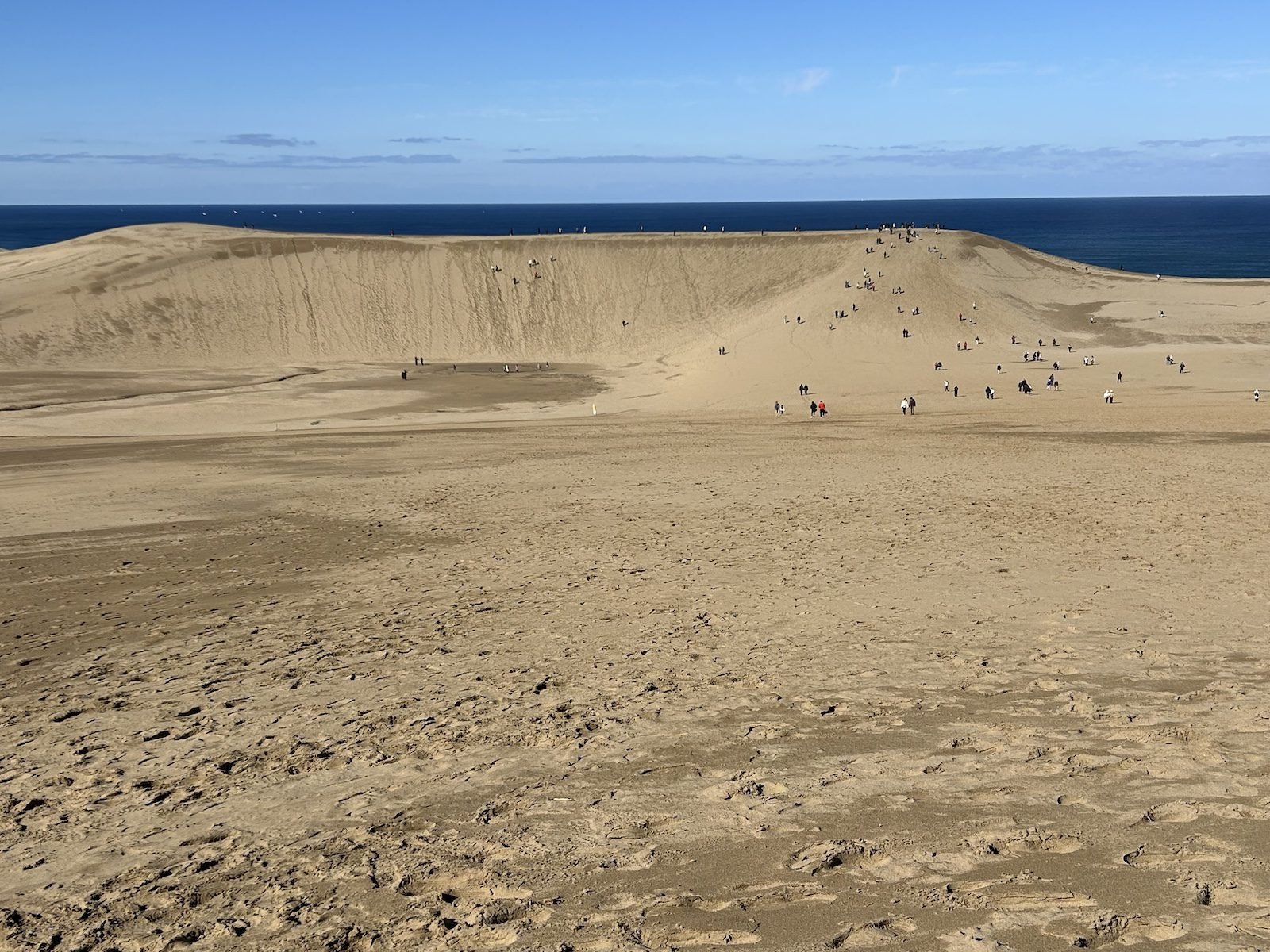 Kehangatan Pasir: Menyelami Keindahan Duna dan Patung Pasir di Tottori!