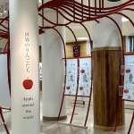 Jelajahi Keajaiban Hirosaki City Apple Park: Surga Apel yang Wajib Dikunjungi!