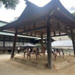 Mengintip Pesona Sumo: Pengalaman Tak Terlupakan di Jepang!