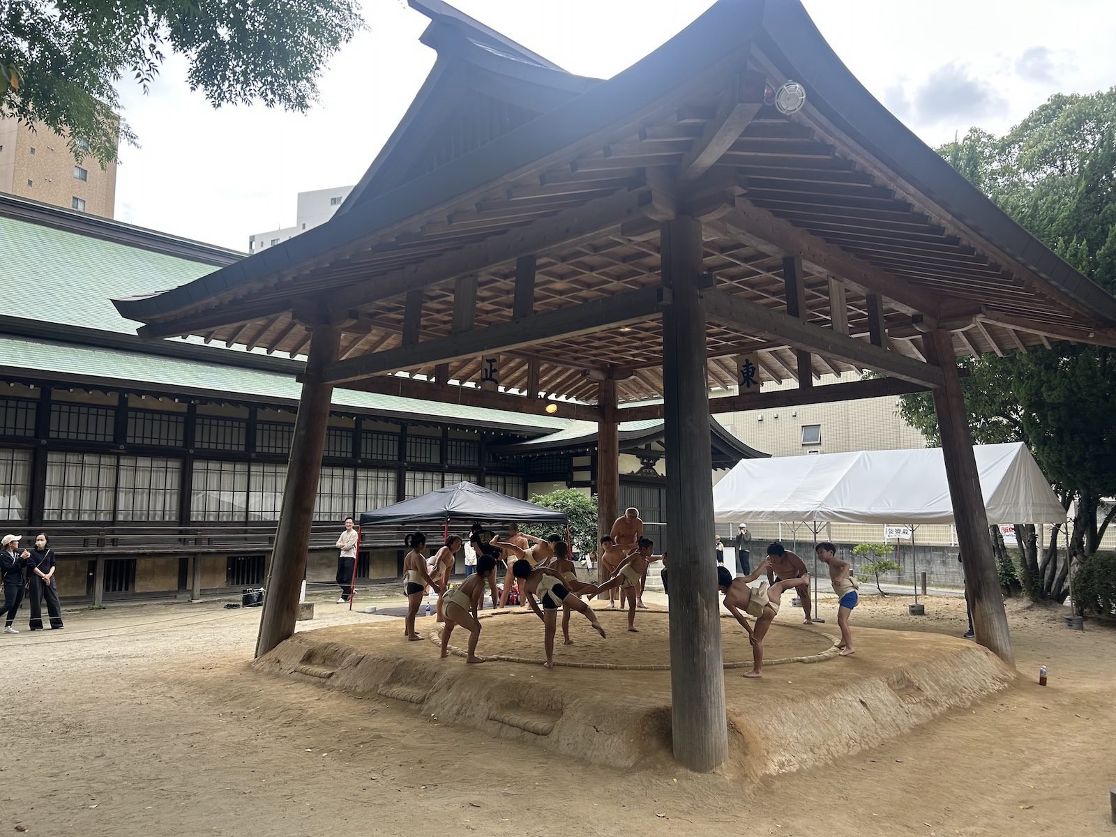 Mengintip Pesona Sumo: Pengalaman Tak Terlupakan di Jepang!