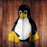 Kemarahan Linux Memicu Perubahan Hukum di California Soal Verifikasi Usia — Si Pembuat Undang-Undang Terpaksa Mundur dengan Ragu!