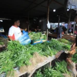 Pertumbuhan Q1 Indonesia Capai Level Tertinggi dalam 3 Tahun, Namun Momentum Diperkirakan akan Memuncak!