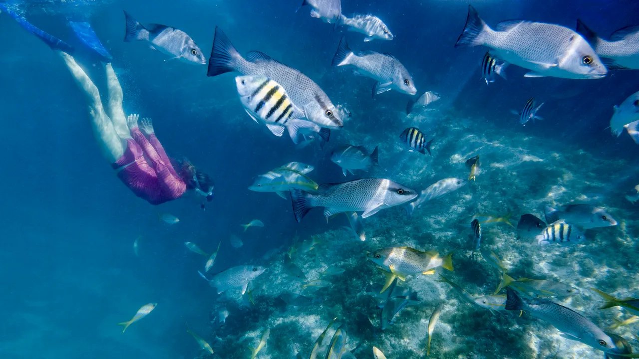 Pelajaran Berharga dari Scuba Diving dan Breathwork: Rahasia Tetap Tenang di Bawah Tekanan!
