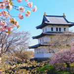 Matsumae Park: Menyelami Sejarah, Keindahan Kastil, dan Pemandangan Laut yang Memukau!