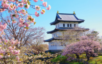 Matsumae Park: Menyelami Sejarah, Keindahan Kastil, dan Pemandangan Laut yang Memukau!