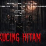 Kucing Hitam Datang! Sinopsis Menegangkan yang Menghadirkan Teror di Dalam Rumah
