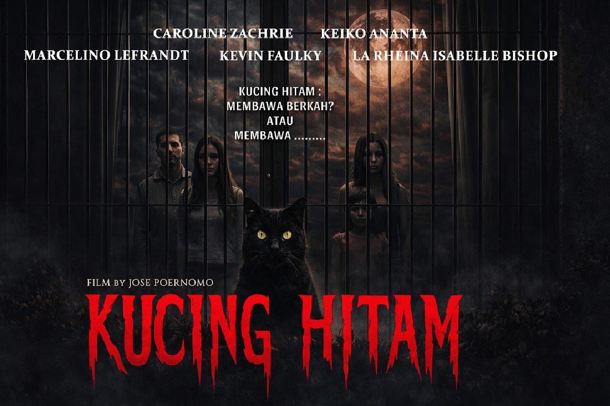 Kucing Hitam Datang! Sinopsis Menegangkan yang Menghadirkan Teror di Dalam Rumah