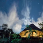 Pengalaman Retreat Ayahuasca: Apa yang Harus Kamu Tahu dan Cara Memilih yang Tepat!